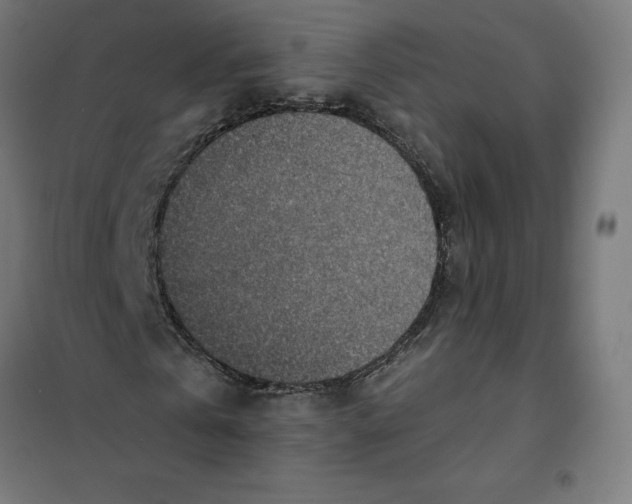 X0000101190769200807251002