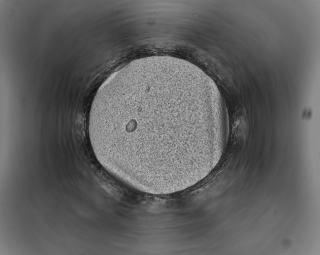 X0000101190772200807251002