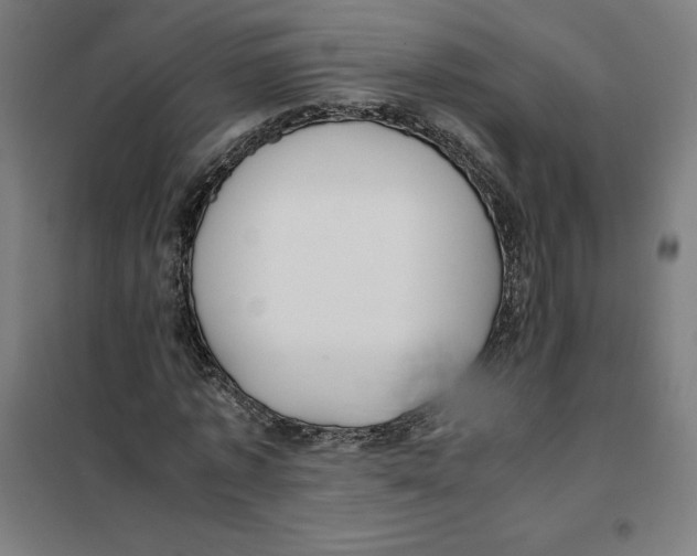 X0000101190773200807251002