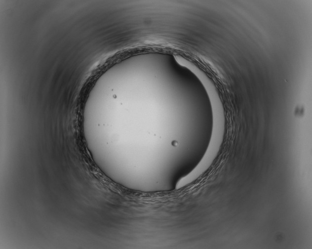 X0000101190776200807251002