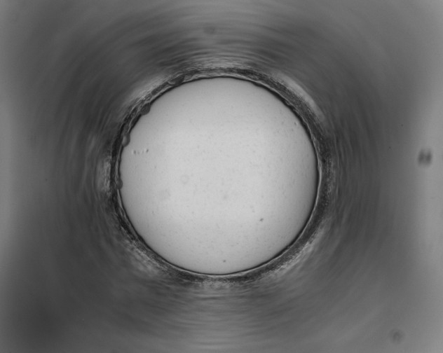 X0000101190777200807251002