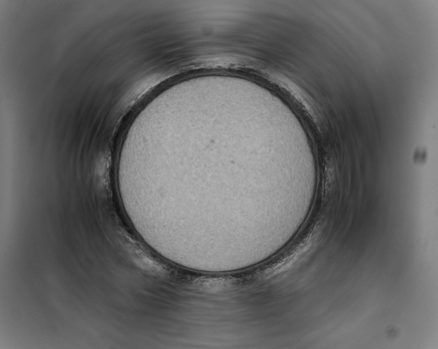 X0000101190778200807251002