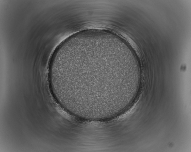 X0000101190779200807251002