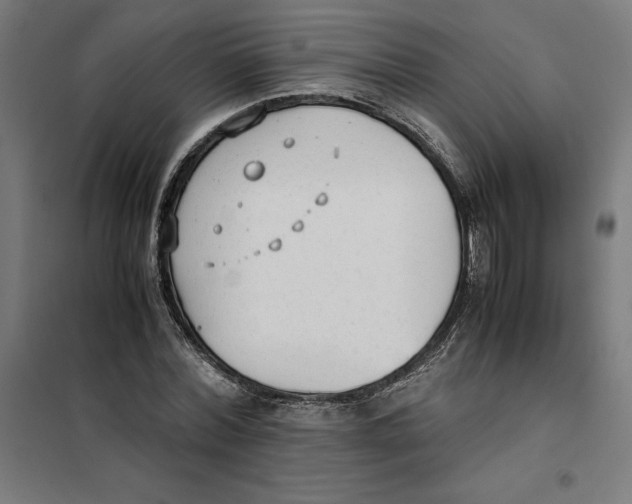 X0000101190780200807251002