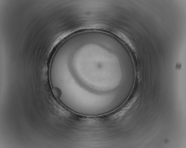 X0000101190781200807251002