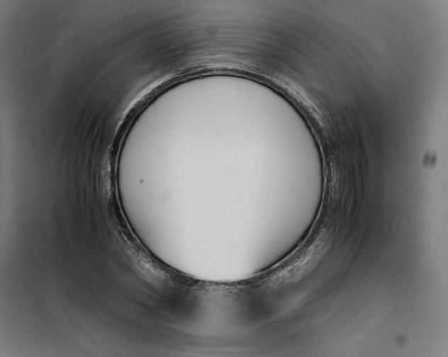 X0000101190782200807251002