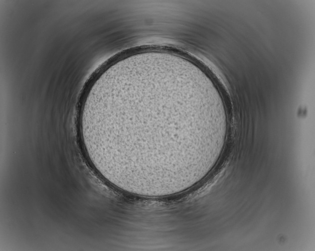 X0000101190783200807251002