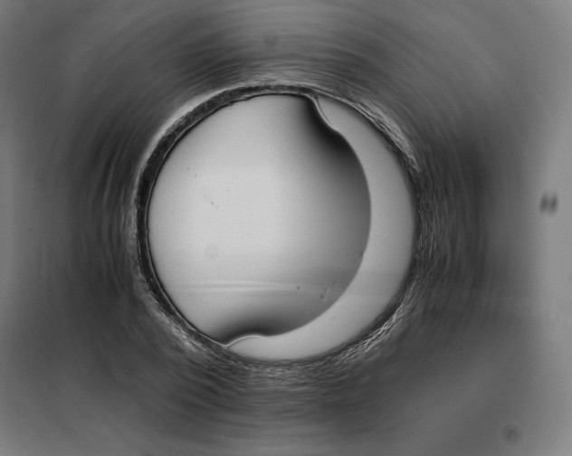 X0000101190784200807251002