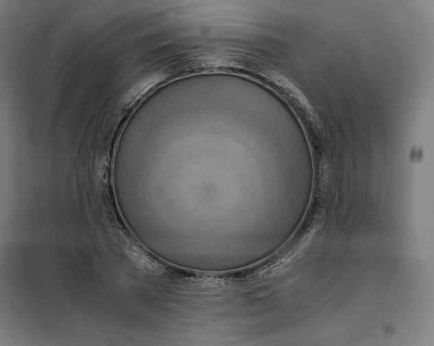 X0000101190785200807251002