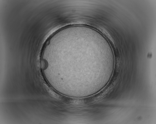 X0000101190789200807251002