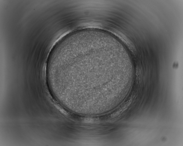X0000101190790200807251002