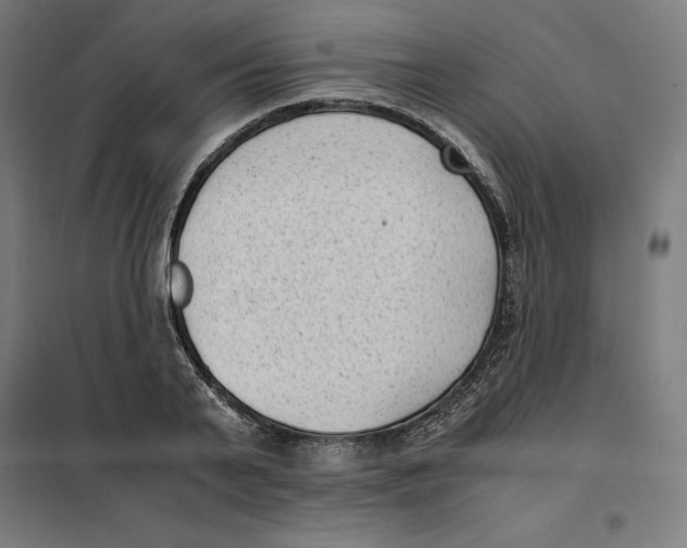 X0000101190791200807251002