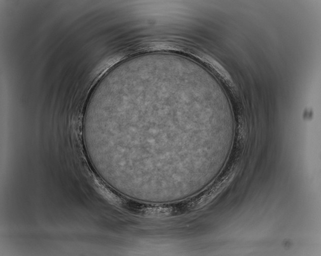 X0000101190793200807251002