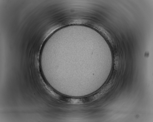 X0000101190794200807251002