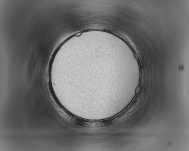 X0000101190795200807251002