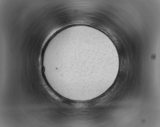 X0000101190796200807251002