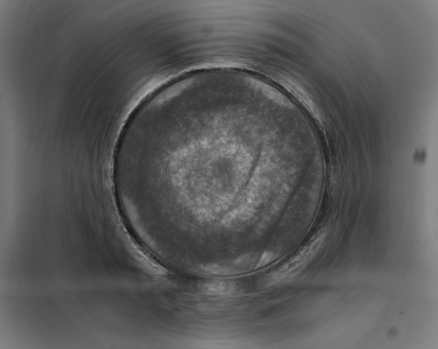 X0000101190797200807251002