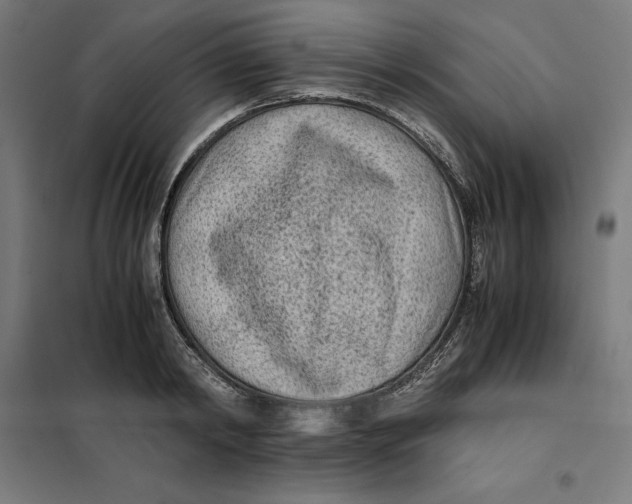X0000101190798200807251002
