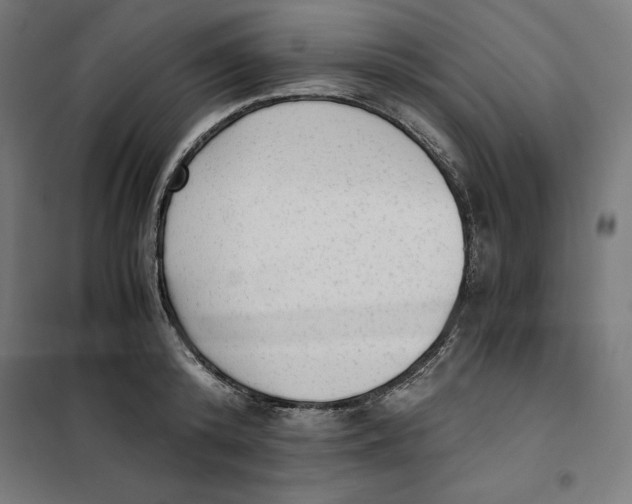 X0000101190800200807251002