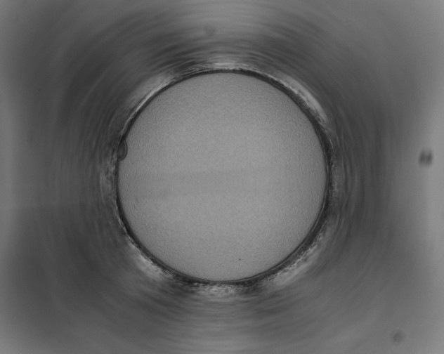 X0000101190801200807251002