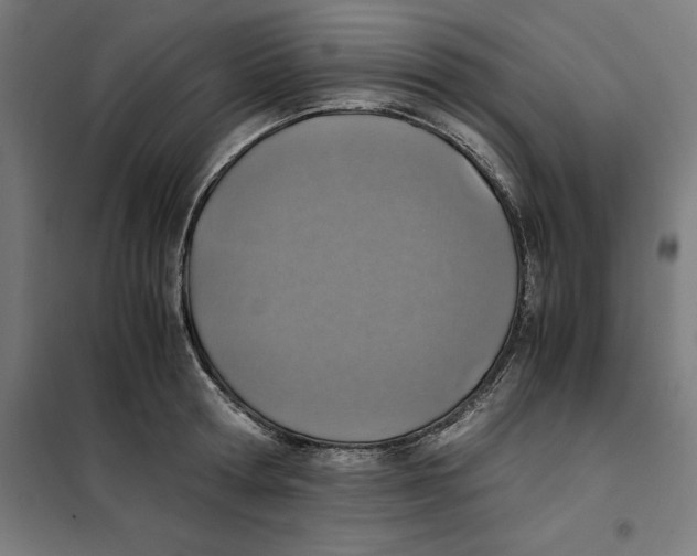 X0000101190802200807251002