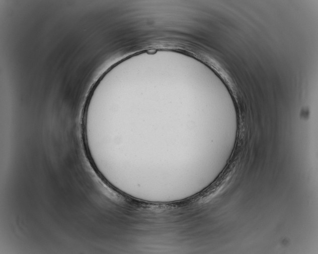 X0000101190803200807251002