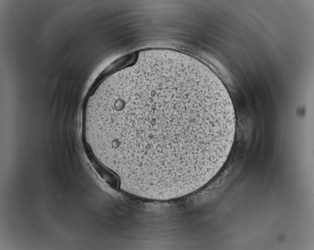 X0000101190804200807251002
