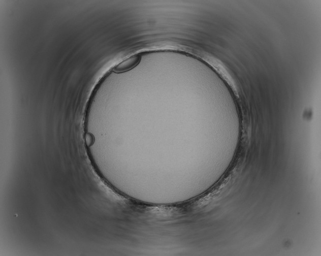 X0000101190805200807251002