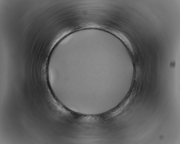 X0000101190806200807251002