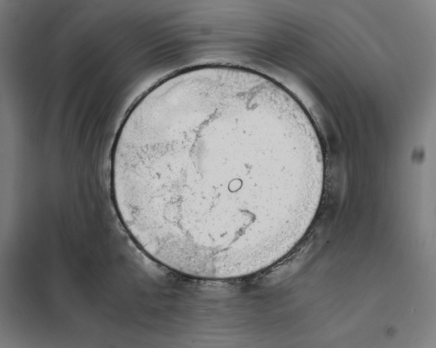 X0000101190807200807251002