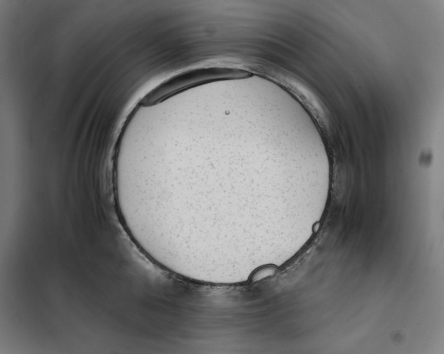 X0000101190808200807251002