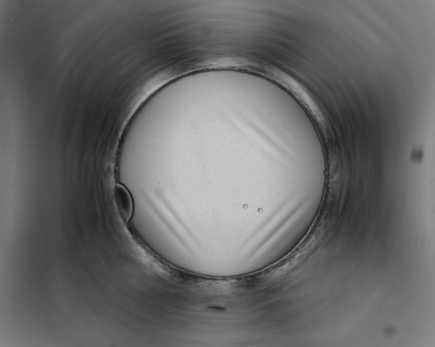 X0000101190810200807251002