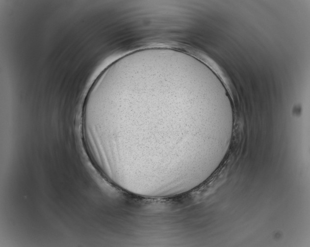X0000101190811200807251002