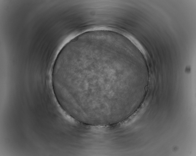 X0000101190813200807251002