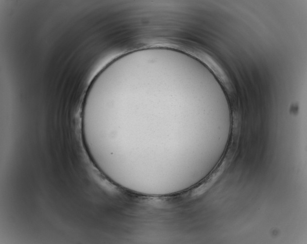 X0000101190814200807251002