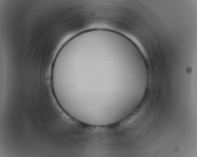 X0000101190815200807251001