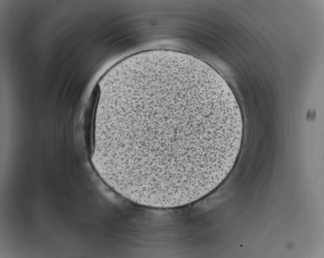 X0000101190816200807251001