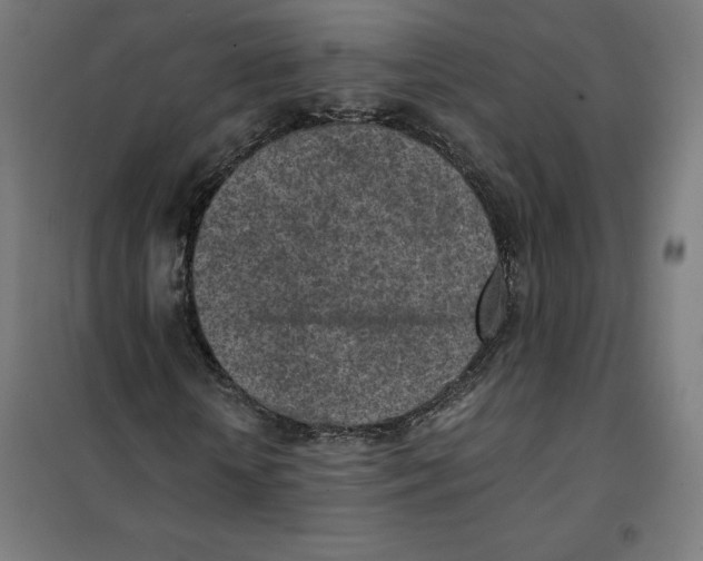X0000101190818200807251000