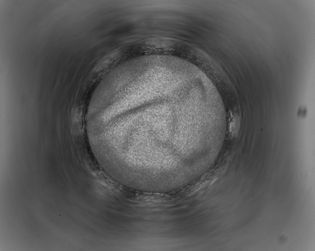 X0000101190819200807251000