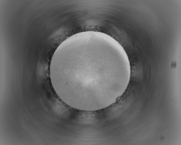 X0000101190820200807251000