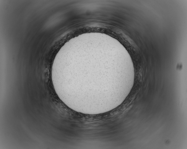 X0000101190821200807251000