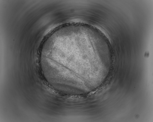 X0000101190823200807251001