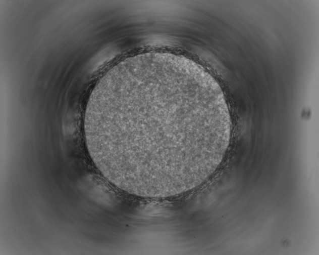 X0000101190824200807251001