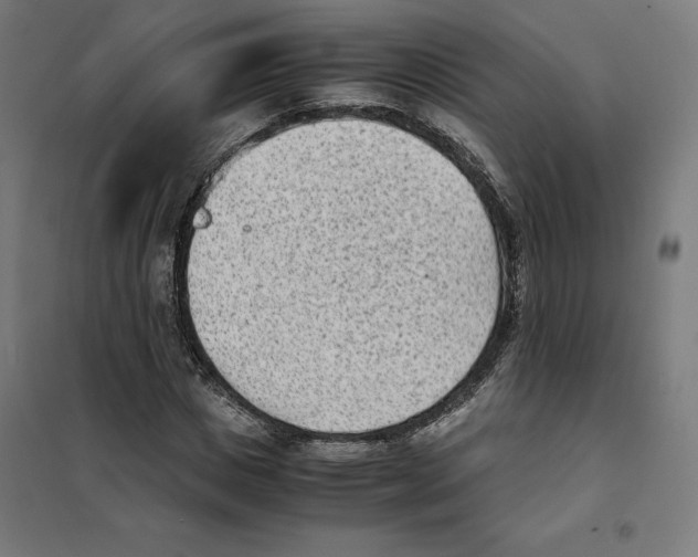 X0000101190825200807251001