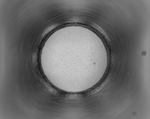 X0000101190826200807251001