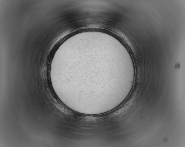 X0000101190827200807251001
