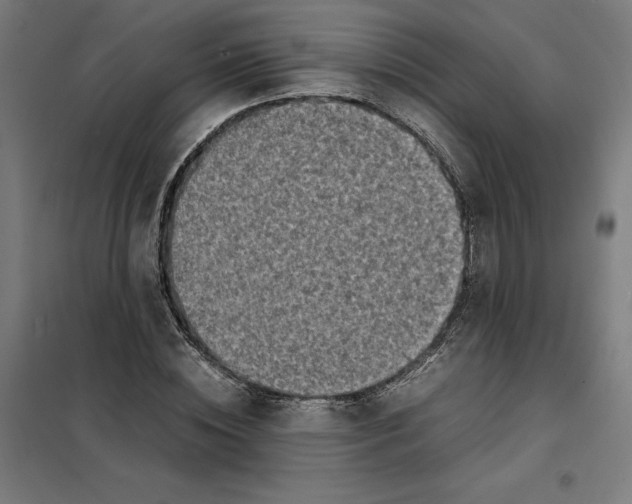 X0000101190828200807251001