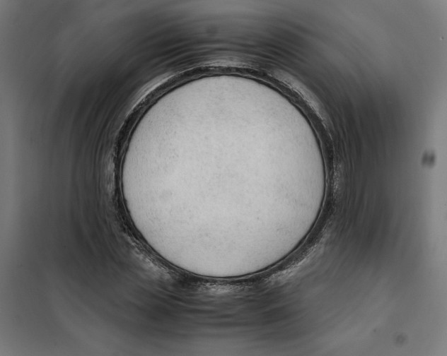 X0000101190829200807251001