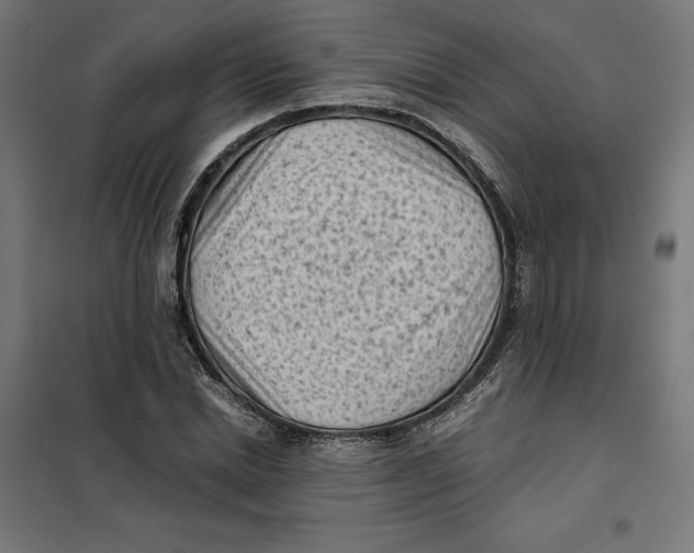 X0000101190830200807251001