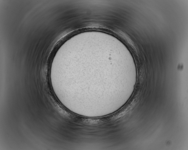X0000101190831200807251001
